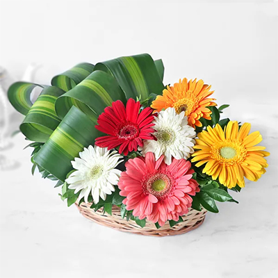 "Mixed Gerberas Flower Basket (Krish) - Click here to View more details about this Product